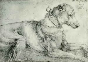 dog at rest by durer