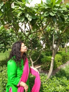 hindi poet nirmala garg