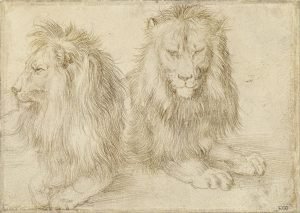 two seated lions